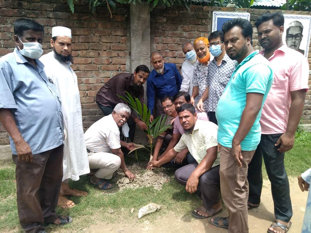 লালমাইতে সুরুজ মেমোরিয়াল উচ্চ বিদ্যালয়ে বৃক্ষরোপণ