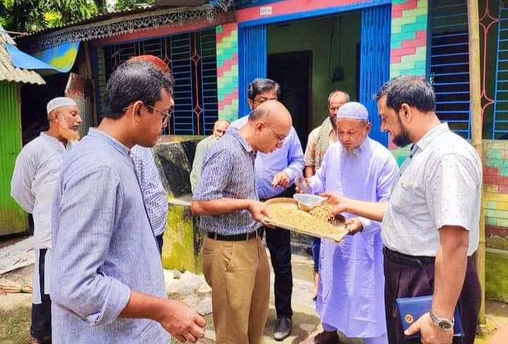 লালমাইয়ে বোরো ধান বীজের মান পরীক্ষা ও ক্রয় অনুমোদন