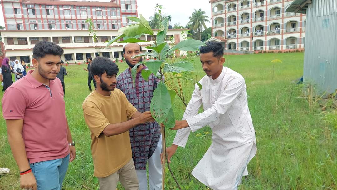 বৈষম্য বিরোধী ছাত্র আন্দোলন লালমাই উপজেলার শাখার বৃক্ষরোপন কর্মসূচি অনুষ্ঠিত