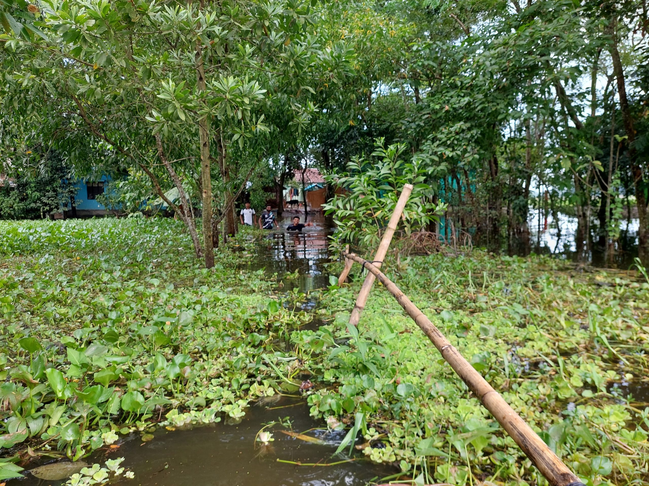 লালমাইয়ে বন্যায় কৃষি মৎস ও প্রানীখাতে ক্ষতি ৭৪ কোটি ২৫ লক্ষ ১২ হাজর ৬শত টাকা